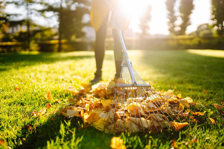 Seasonal Turf Care Tips