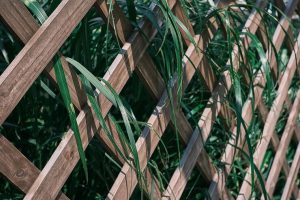 Durable Fencing Materials for Sydney