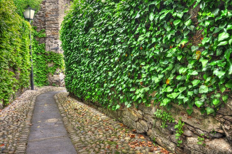 Retaining Walls for Small Spaces