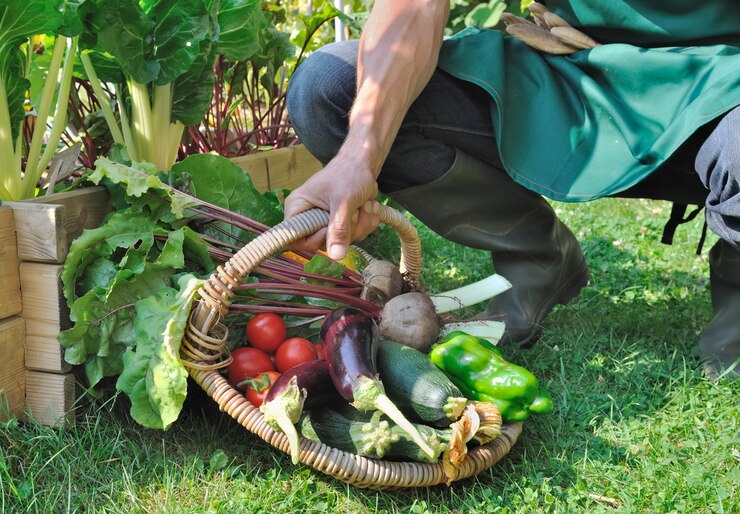 Organic Gardening Techniques