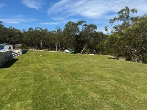 Castle Cove Landscapers