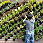 Add a Vertical Garden