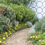 Create a Native Garden