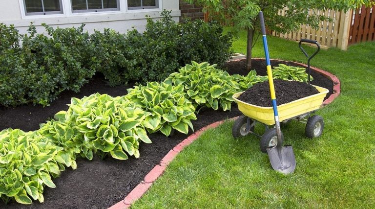 DIY Landscaping Projects in Australia