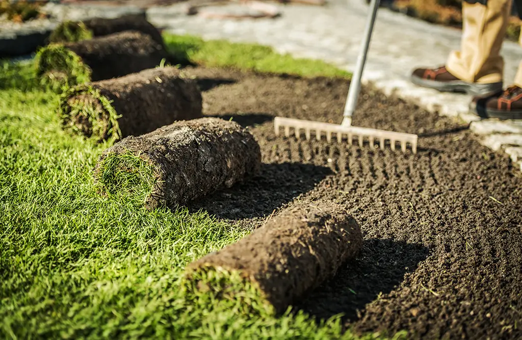 Soil for perfect turf installation