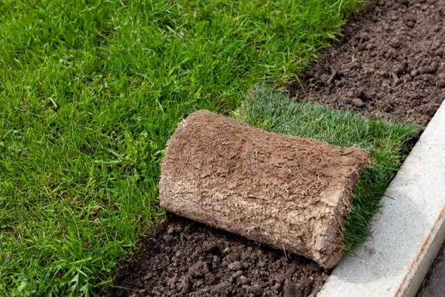 Soil for perfect turf installation