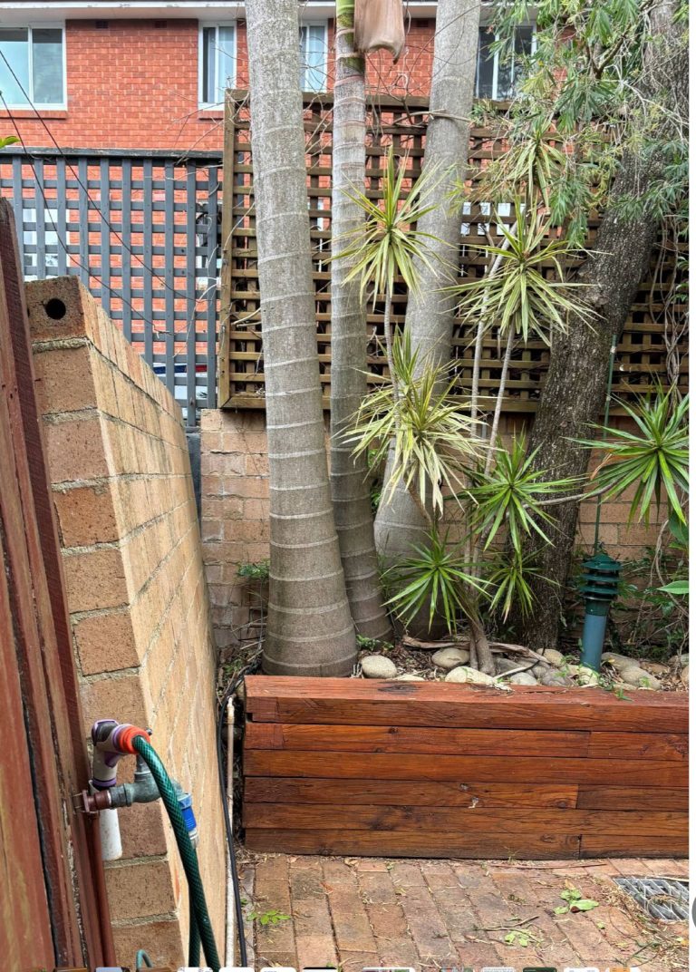 Cammeray 1