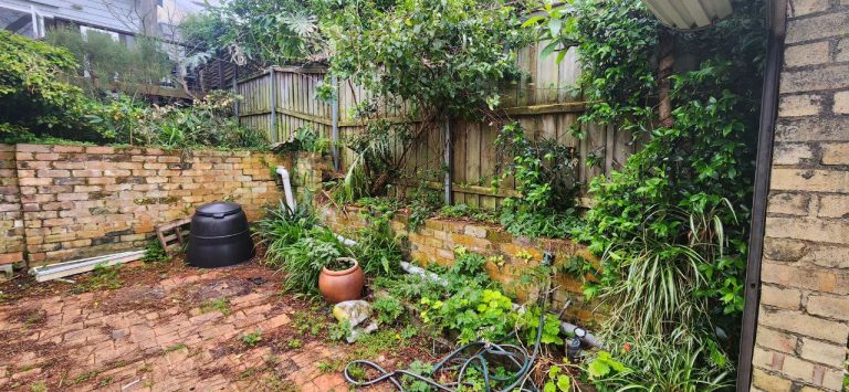 Lilyfield Landscapers