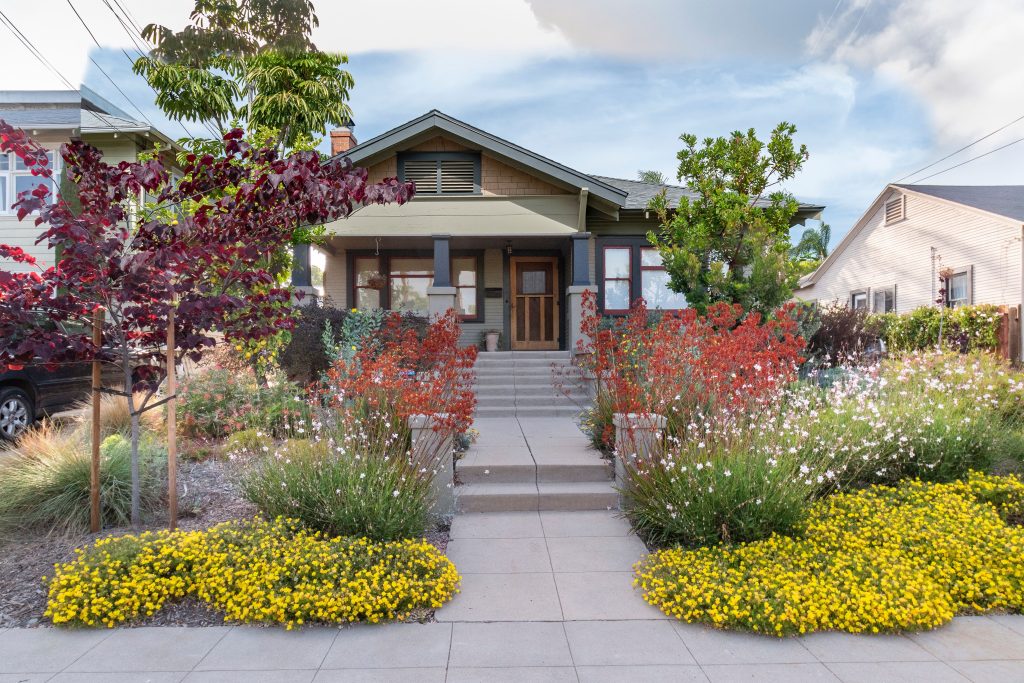 Australian native landscaping