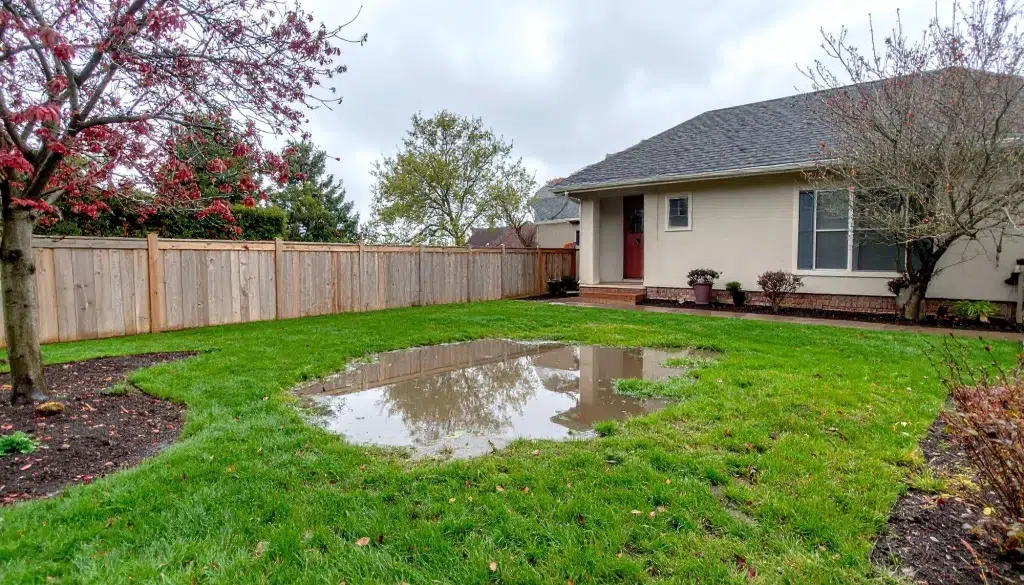 fixing Poor Landscaping 1